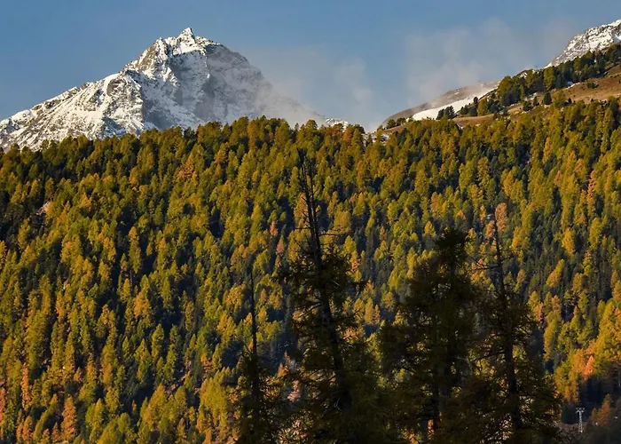 Cresta Palace Celerina St Moritz In And Out Hotel