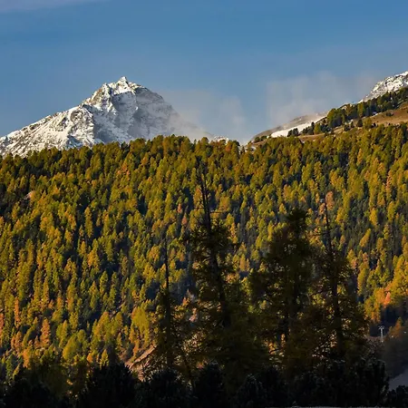 Cresta Palace Celerina St Moritz In And Out فندق